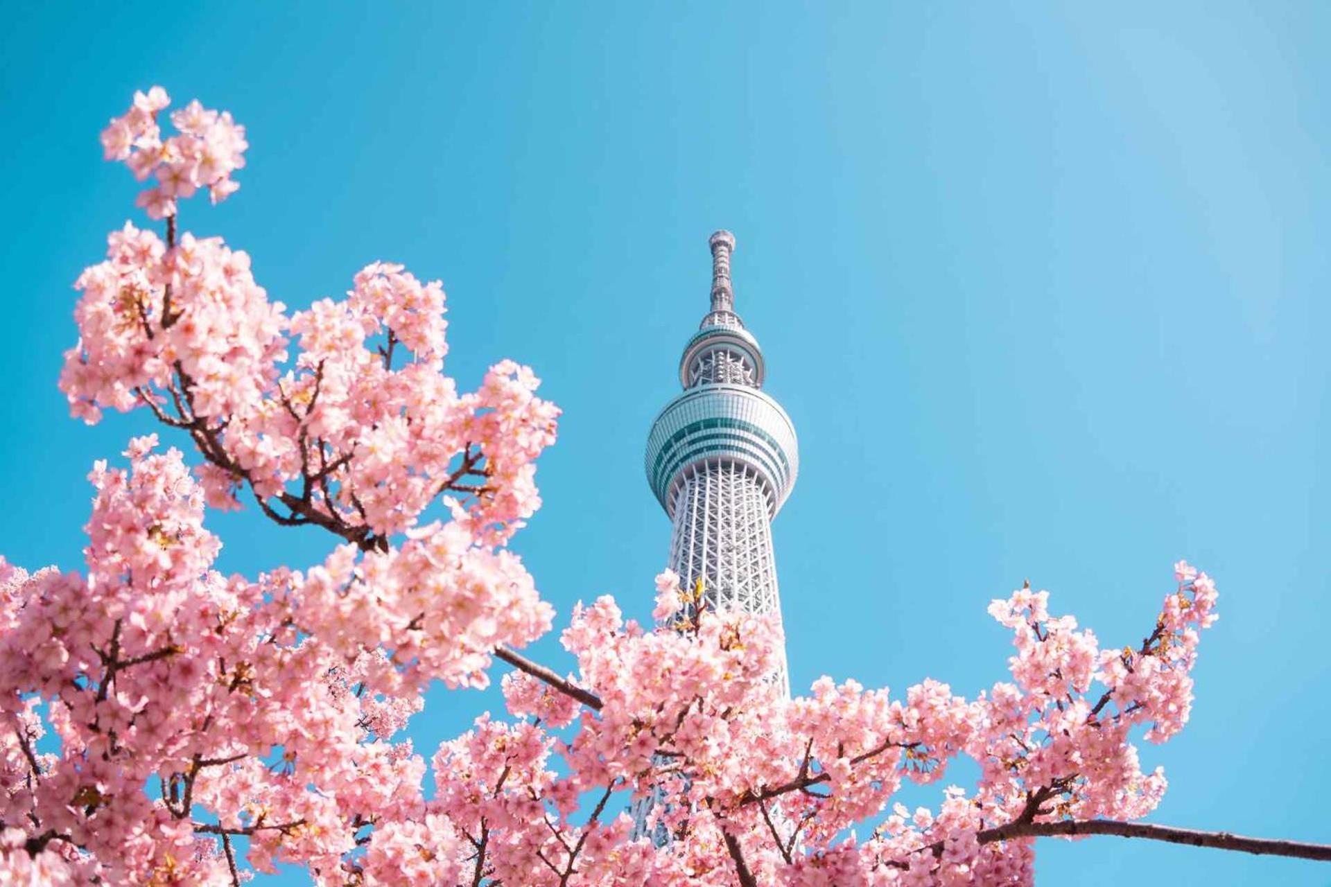 Fl Hotel Asakusa Tōkyō Extérieur photo